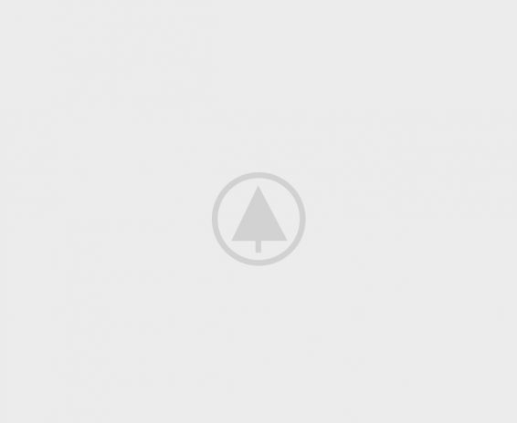 wood portfolio placeholder