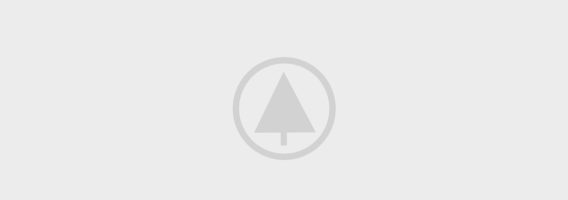 wood portfolio placeholder
