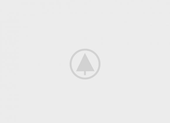 wood portfolio placeholder