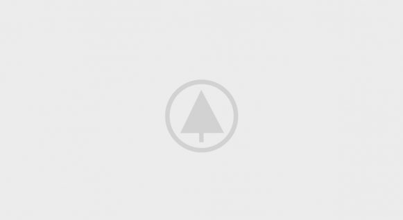 wood portfolio placeholder