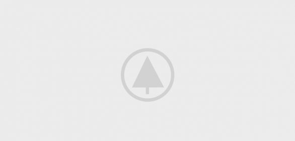 wood portfolio placeholder
