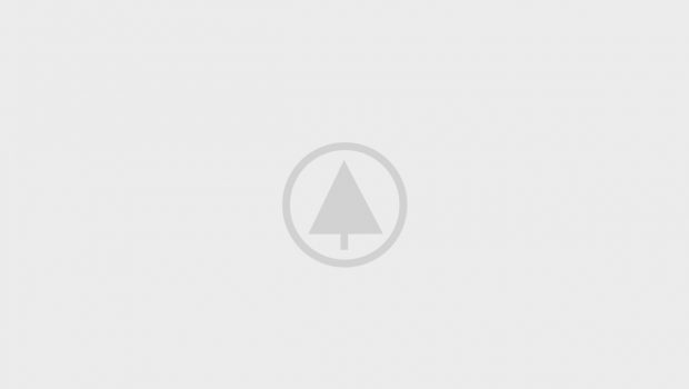 wood portfolio placeholder