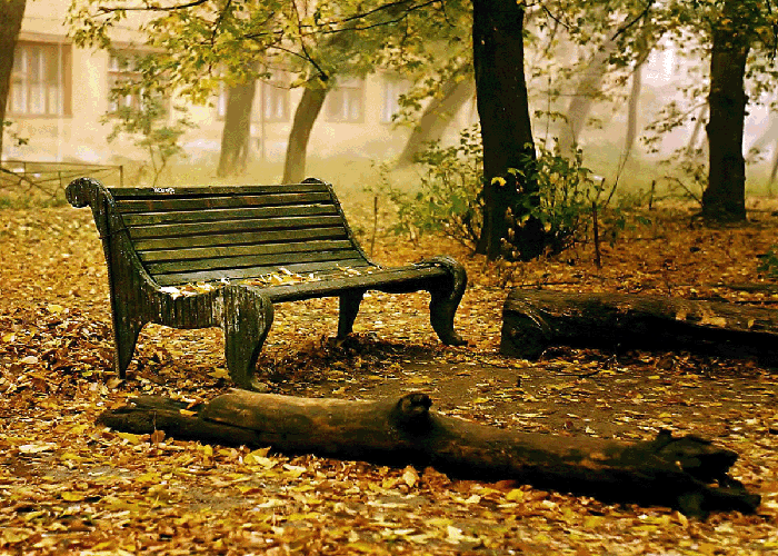 تصویر نیمکت 