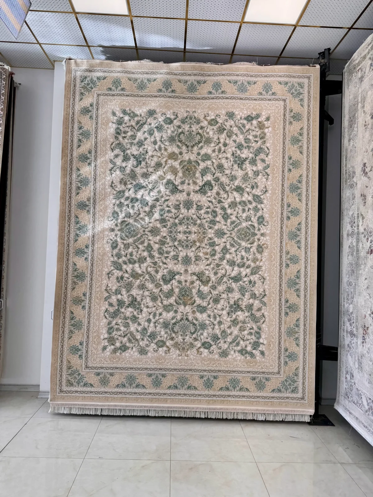 صدفی 1 scaled